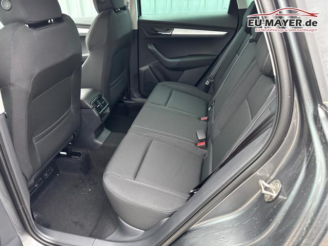 Skoda / Karoq / Grau / / / , Beispielbilder, ggf. teilweise mit Sonderausstattung