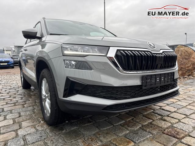 Skoda / Karoq / Grau / / / , Beispielbilder, ggf. teilweise mit Sonderausstattung