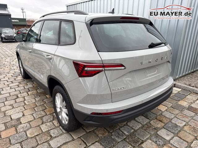 Skoda / Karoq / Grau / / / , Beispielbilder, ggf. teilweise mit Sonderausstattung