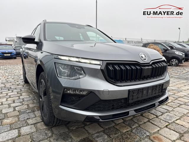 Skoda / Kamiq / Grau / / / , Beispielbilder, ggf. teilweise mit Sonderausstattung