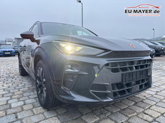 Cupra / Terramar / Grau / / / 