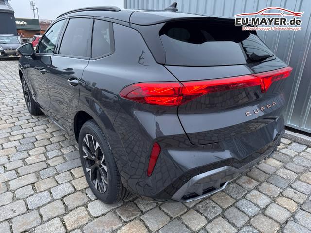 Cupra / Terramar / Grau / / / 