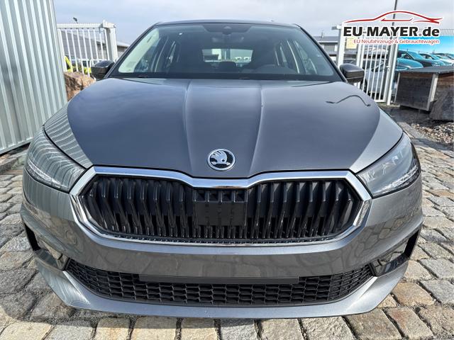 Skoda / Fabia / Grau / / / , Beispielbilder, ggf. teilweise mit Sonderausstattung