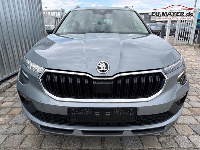 Skoda / Kamiq / Grau / / / , Beispielbilder, ggf. teilweise mit Sonderausstattung