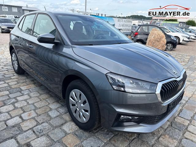 Skoda / Fabia / Grau / / / , Beispielbilder, ggf. teilweise mit Sonderausstattung