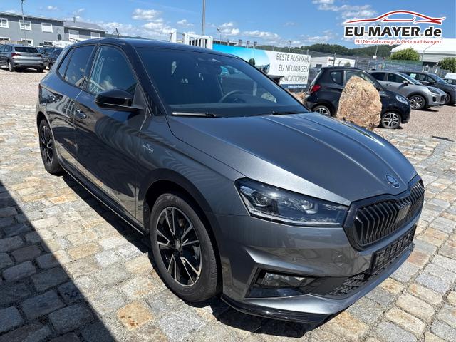 Skoda / Fabia / Grau / / / 