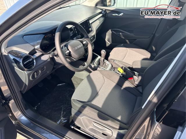 Skoda / Fabia / Grau / / / , Beispielbilder, ggf. teilweise mit Sonderausstattung