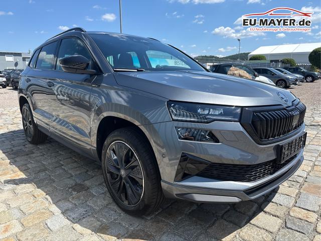Skoda / Karoq / Grau / / / , Beispielbilder, ggf. teilweise mit Sonderausstattung