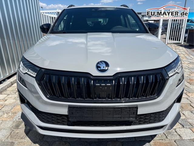Skoda / Karoq / Grau / / / , Beispielbilder, ggf. teilweise mit Sonderausstattung