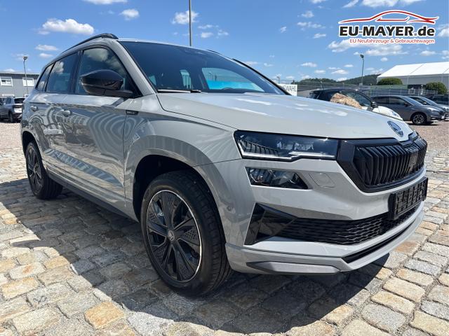 Skoda / Karoq / Grau / / / , Beispielbilder, ggf. teilweise mit Sonderausstattung