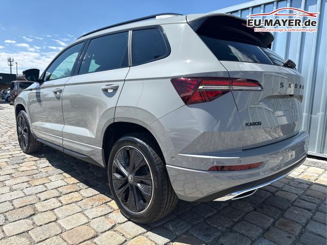 Skoda / Karoq / Grau / / / , Beispielbilder, ggf. teilweise mit Sonderausstattung