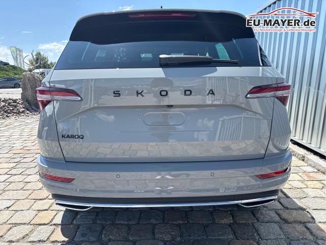 Skoda / Karoq / Grau / / / , Beispielbilder, ggf. teilweise mit Sonderausstattung