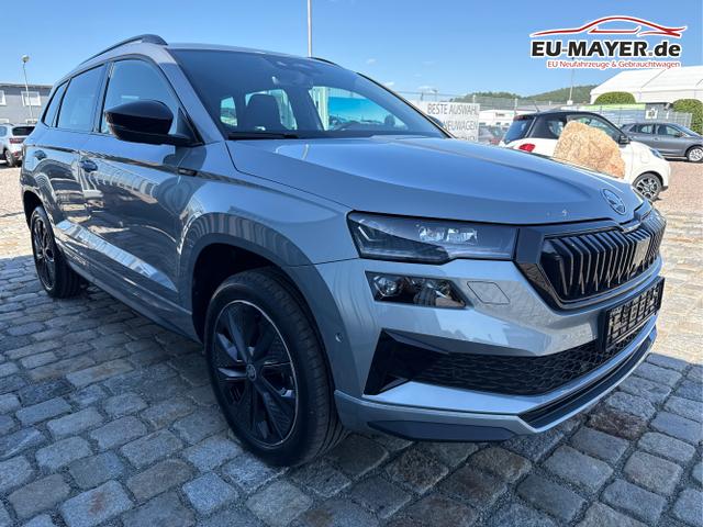 Skoda / Karoq / Grau / / / , Beispielbilder, ggf. teilweise mit Sonderausstattung