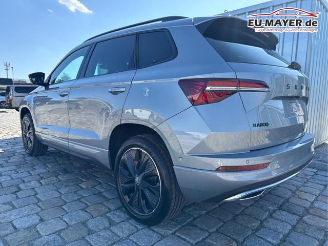 Skoda / Karoq / Grau / / / , Beispielbilder, ggf. teilweise mit Sonderausstattung