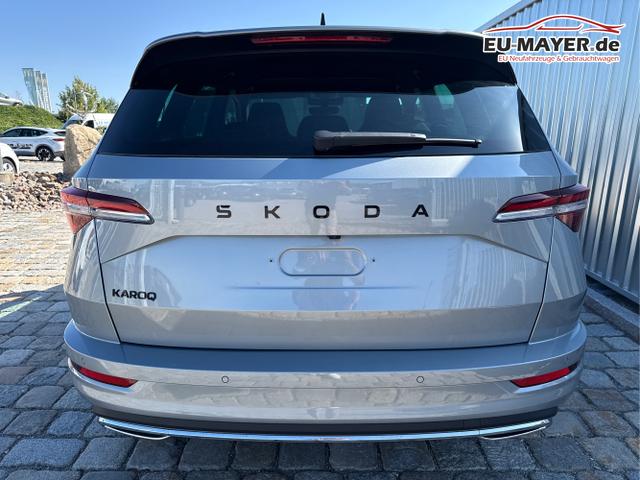 Skoda / Karoq / Grau / / / , Beispielbilder, ggf. teilweise mit Sonderausstattung