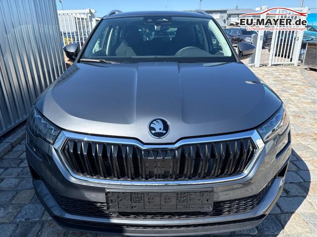 Skoda / Karoq / Grau / / / , Beispielbilder, ggf. teilweise mit Sonderausstattung