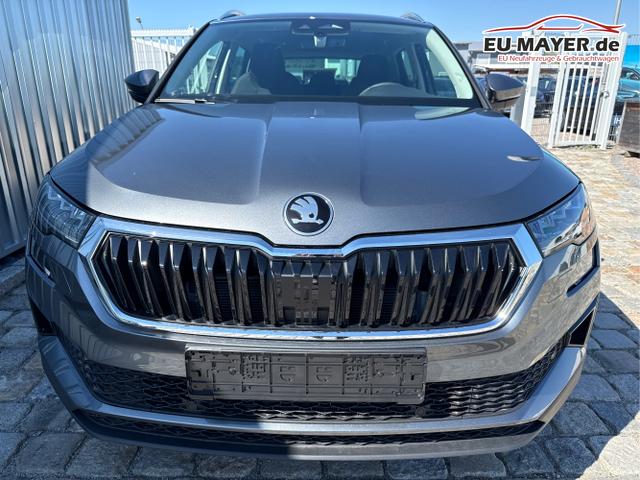 Skoda / Karoq / Grau / / / , Beispielbilder, ggf. teilweise mit Sonderausstattung