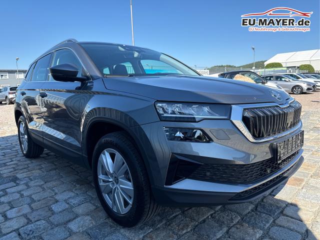 Skoda / Karoq / Grau / / / , Beispielbilder, ggf. teilweise mit Sonderausstattung