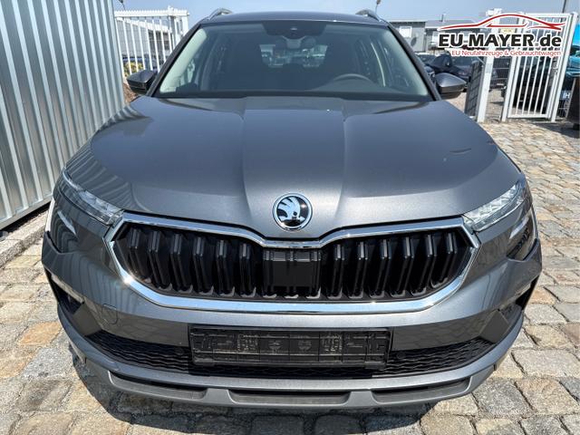 Skoda / Kamiq / Grau / / / , Beispielbilder, ggf. teilweise mit Sonderausstattung
