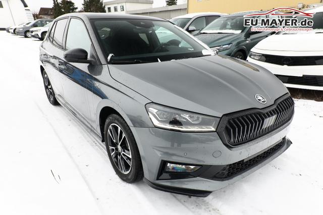 Skoda Fabia Monte Carlo DSG MonteC Pano Kessy Kam 5J/100k SHZ Temp 