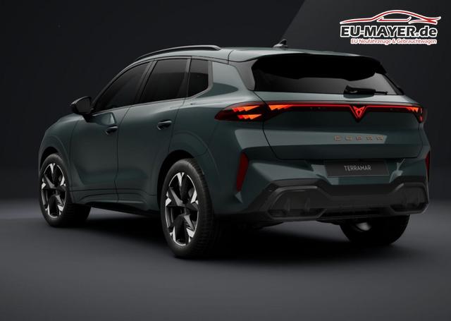 Cupra Terramar DSG EdgeP SHZ eHk Kam ACC 19" PrivG Amb 