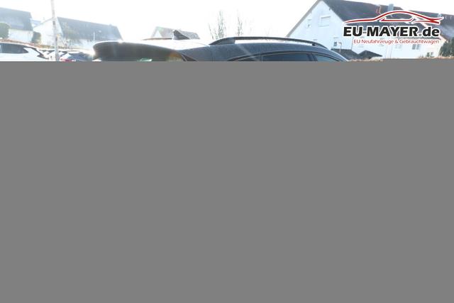 Cupra Formentor DSG 4Drive AHK EdgeP SHZ ACC 3ZClim 