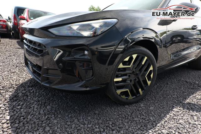 Cupra Terramar Tribe Edition DSG HeadUp 360&deg; Sennh el.Hk ParkA 