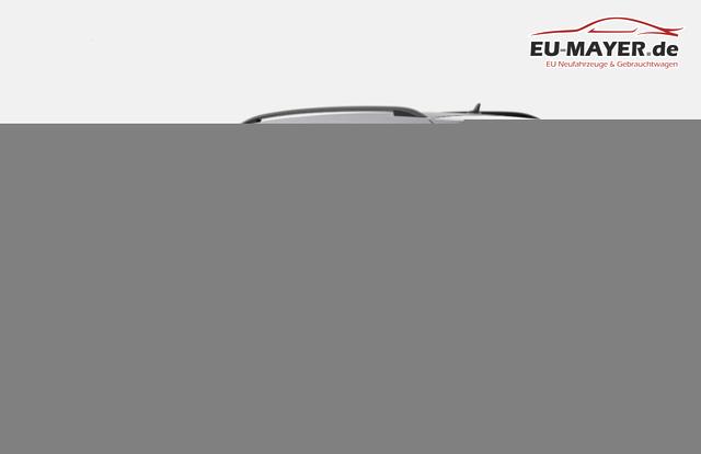 Skoda Kamiq Monte Carlo DSG MonteC Pano Matrix Nav ACC Kam Kessy 