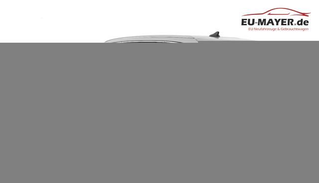Skoda Octavia Combi Selection DSG Leder Matrix HUD 360&deg; Canton 