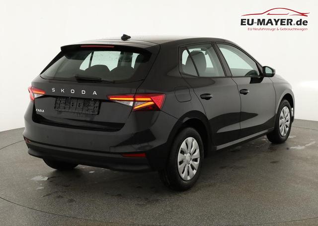 Skoda Fabia Selection 1.0 TSI Selection, Tempomat, Park, Winterpaket, SmartLink, 4-J Garantie 