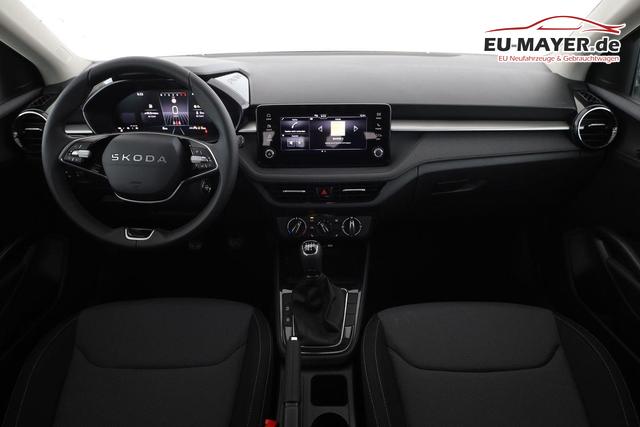 Skoda Fabia Selection 1.0 TSI Selection, Tempomat, Park, Winterpaket, SmartLink, 4-J Garantie 