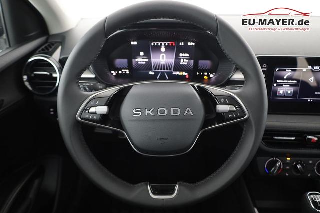 Skoda Fabia Selection 1.0 TSI Selection, Tempomat, Park, Winterpaket, SmartLink, 4-J Garantie 