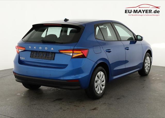 Skoda Fabia Selection 1.0 TSI Selection, Ladeboden, Park, Winterpaket, SmartLink, 4-J Garantie 