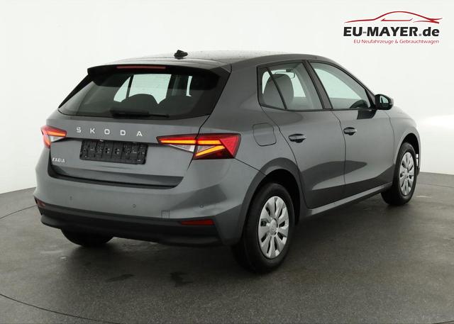 Skoda Fabia Selection 1.0 TSI Selection, Park, Winterpaket, SmartLink, 4-J Garantie 