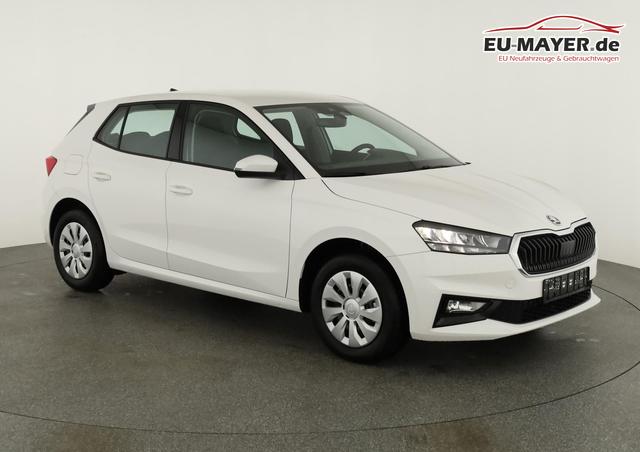 Skoda Fabia Selection 1.0 TSI Selection, Ladeboden, Park, Winterpaket, SmartLink, 4-J Garantie 