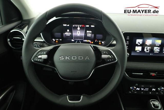 Skoda Fabia Selection 1.0 TSI Selection, LED, Kamera, Winter, App-Connect, Ladeboden, sofort 