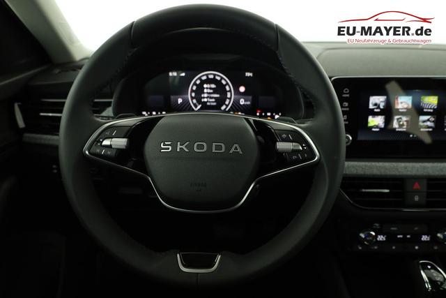 Skoda Kamiq Selection 1.5 TSI DSG Selection, LED, Kamera, Ladeboden, Winter 