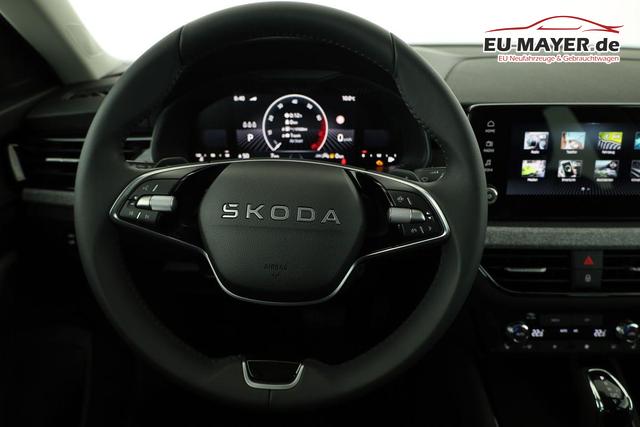 Skoda Kamiq Selection 1.0 TSI DSG Selection, Matrix, Kamera, Ladeboden, Winter, 16-Zoll 