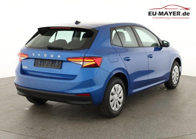 Skoda Fabia Selection 1.0 TSI Selection, Tempomat, Park, Winterpaket, SmartLink, 4 J.-Garantie 