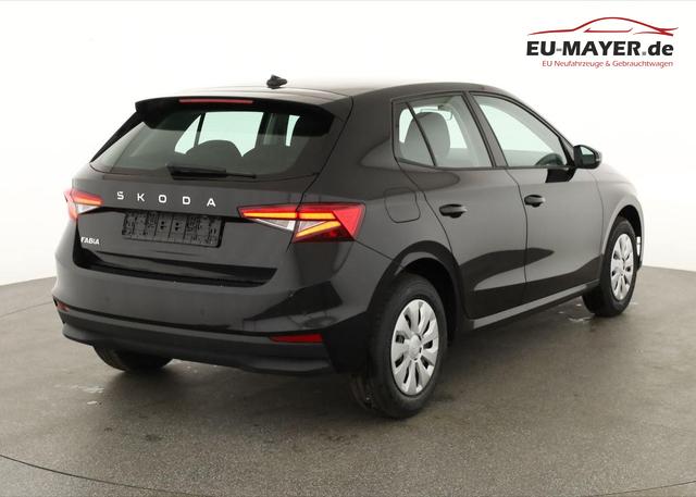Skoda Fabia Selection 1.0 TSI Selection, Tempomat, Ladeboden, Park, Winterpaket, SmartLink, 4-J Garantie 