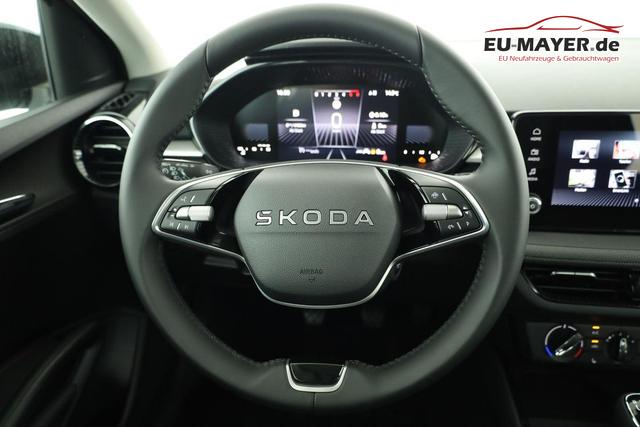Skoda Fabia Selection 1.0 TSI Selection, Tempomat, Ladeboden, Park, Winterpaket, SmartLink, 4-J Garantie 