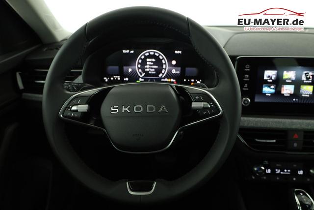 Skoda Kamiq Selection 1.0 TSI DSG Selection, AHK, Matrix, Kamera, Ladeboden, Winter, 16-Zoll 