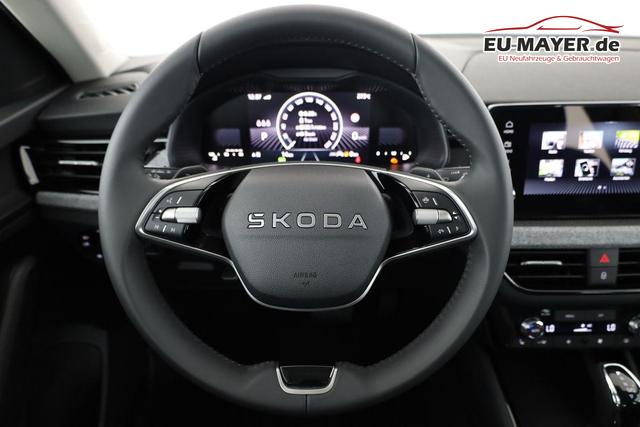 Skoda Kamiq Selection 1.5 TSI DSG Selection, AHK, LED, Kamera, Ladeboden, Winter 