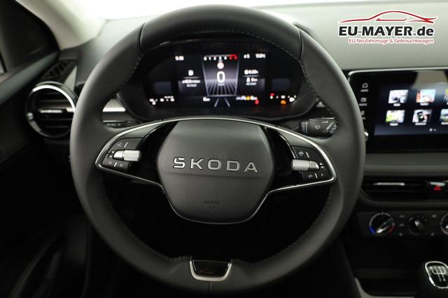 Skoda Fabia Selection 1.0 TSI Selection, Ladeboden, Park, Winterpaket, SmartLink, 4 J.-Garantie 