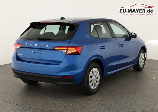 Skoda Fabia Selection 1.0 TSI Selection, Ladeboden, Park, Winterpaket, SmartLink, 4 J.-Garantie 