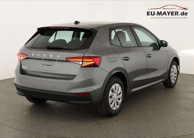 Skoda Fabia Selection 1.0 TSI Selection, Tempomat, Park, Winterpaket, SmartLink, 4 J.-Garantie 