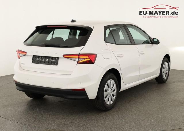 Skoda Fabia Selection 1.0 TSI Selection, Tempomat, Park, Winterpaket, SmartLink, 4 J.-Garantie 