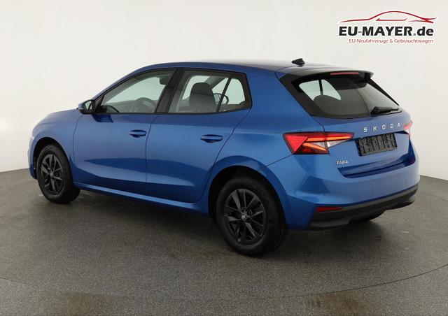 Skoda Fabia Selection 1.0 TSI Selection, LED, Kamera, Winter, 5 J.-Garantie 