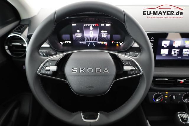 Skoda Fabia Selection 1.0 TSI Selection, LED, Kamera, Winter, 5 J.-Garantie 
