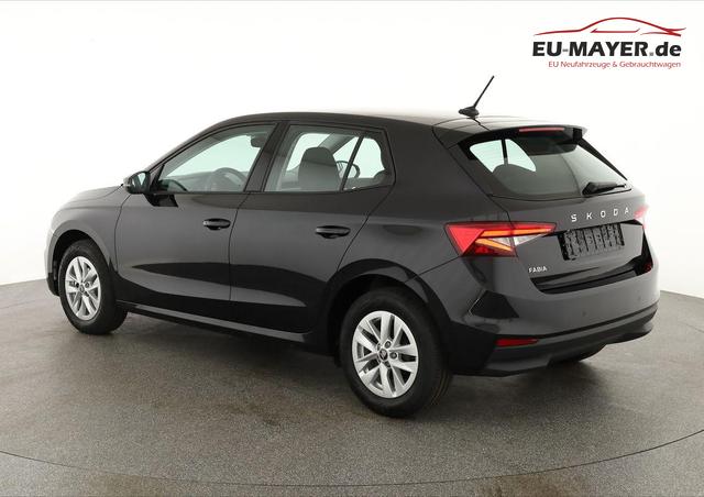 Skoda Fabia Selection 1.0 TSI Selection, LED, Kamera, Winter, 5 J.-Garantie 